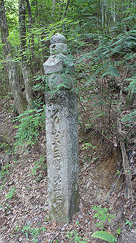 dsc00414_thumb.jpg