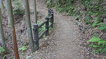 dsc00415_thumb.jpg