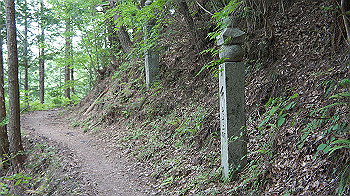 dsc00416_thumb.jpg