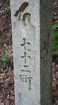 dsc00417_thumb.jpg