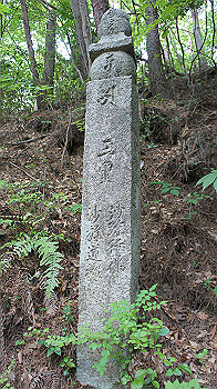 dsc00418_thumb.jpg