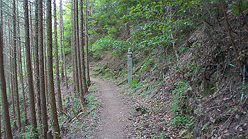 dsc00419_thumb.jpg