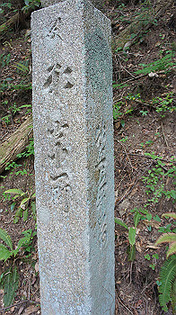 dsc00420_thumb.jpg