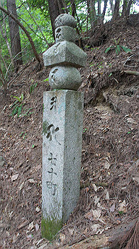dsc00421_thumb.jpg