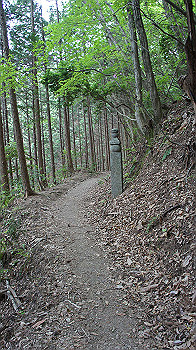 dsc00422_thumb.jpg