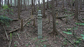 dsc00424_thumb.jpg