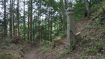 dsc00425_thumb.jpg