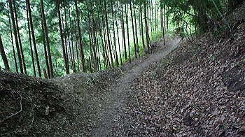 dsc00433_thumb.jpg