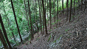 dsc00434_thumb.jpg