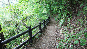 dsc00435_thumb.jpg