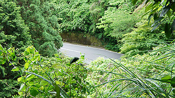 dsc00436_thumb.jpg