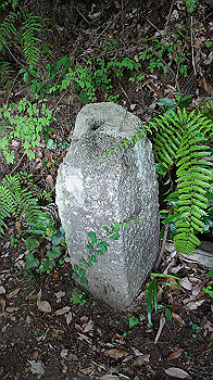 dsc00438_thumb.jpg