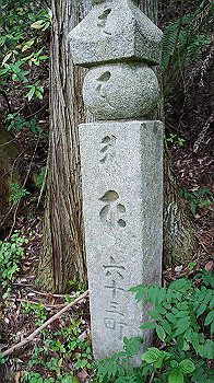dsc00439_thumb.jpg