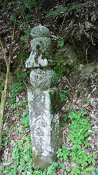 dsc00440_thumb.jpg