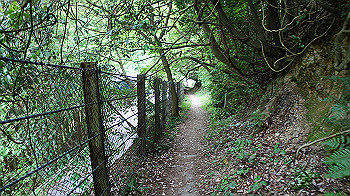 dsc00441_thumb.jpg