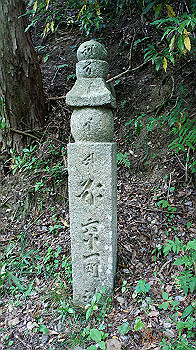 dsc00443_thumb.jpg