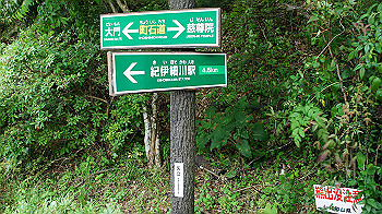 dsc00446_thumb.jpg