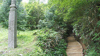 dsc00459_thumb.jpg