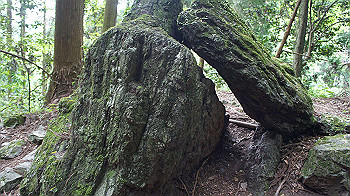 dsc00465_thumb.jpg