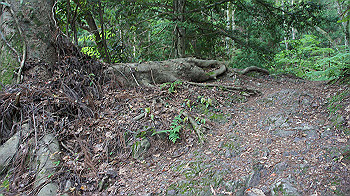 dsc00466_thumb.jpg