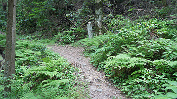 dsc00468_thumb.jpg