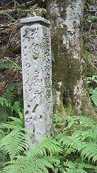 dsc00469_thumb.jpg