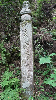 dsc00470_thumb.jpg