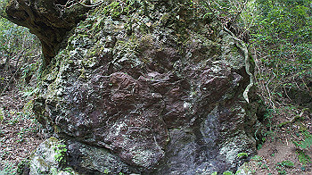 dsc00472_thumb.jpg