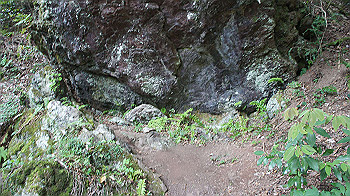dsc00473_thumb.jpg