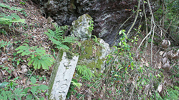 dsc00474_thumb.jpg