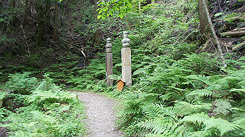 dsc00475_thumb.jpg