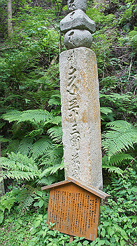dsc00476_thumb.jpg