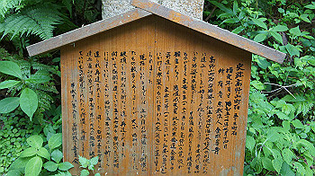 dsc00478_thumb.jpg