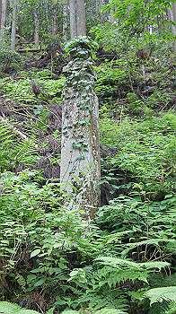 dsc00480_thumb.jpg