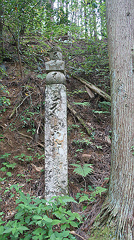 dsc00481_thumb.jpg