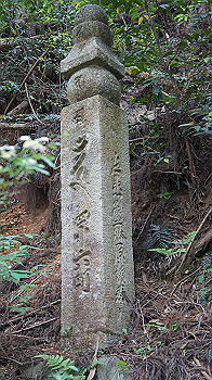 dsc00483_thumb.jpg