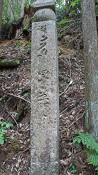 dsc00484_thumb.jpg