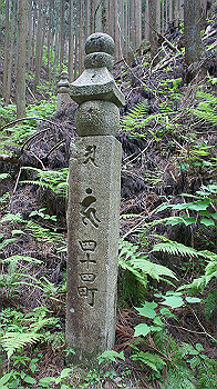 dsc00486_thumb.jpg