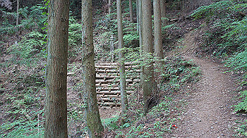 dsc00488_thumb.jpg