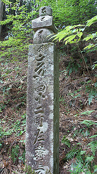 dsc00489_thumb.jpg