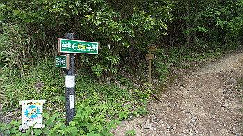 dsc00496_thumb.jpg