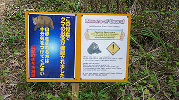 dsc00497_thumb.jpg