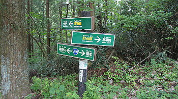 dsc00503_thumb.jpg