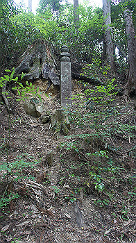 dsc00505_thumb.jpg