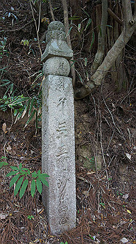 dsc00507_thumb.jpg