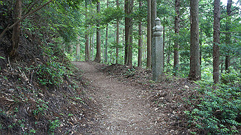 dsc00508_thumb.jpg