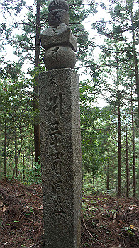 dsc00509_thumb.jpg