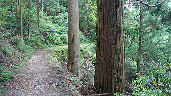 dsc00510_thumb.jpg