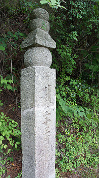 dsc00511_thumb.jpg