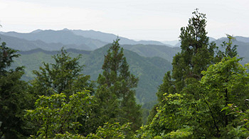 dsc00512_thumb.jpg